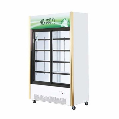Beverage Glass Door Deep Freezer Sliding Door Commercial Green Series Air Cooled
