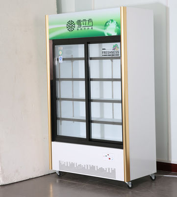 Beverage Glass Door Deep Freezer Sliding Door Commercial Green Series Air Cooled