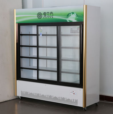 Beverage Glass Door Deep Freezer Sliding Door Commercial Green Series Air Cooled