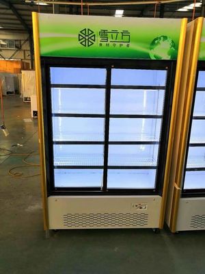 Beverage Glass Door Deep Freezer Sliding Door Commercial Green Series Air Cooled