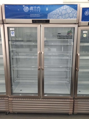 2 Glass Door Display Freezer Cabinet Air Cooled Blue Series Fresh Keeping