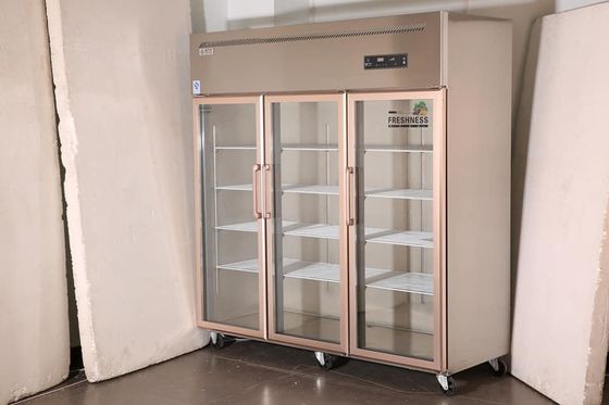3 Door Commercial 220V Stainless Steel Freezers