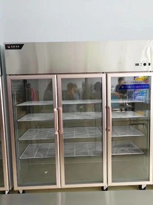 3 Door Commercial 220V Stainless Steel Freezers